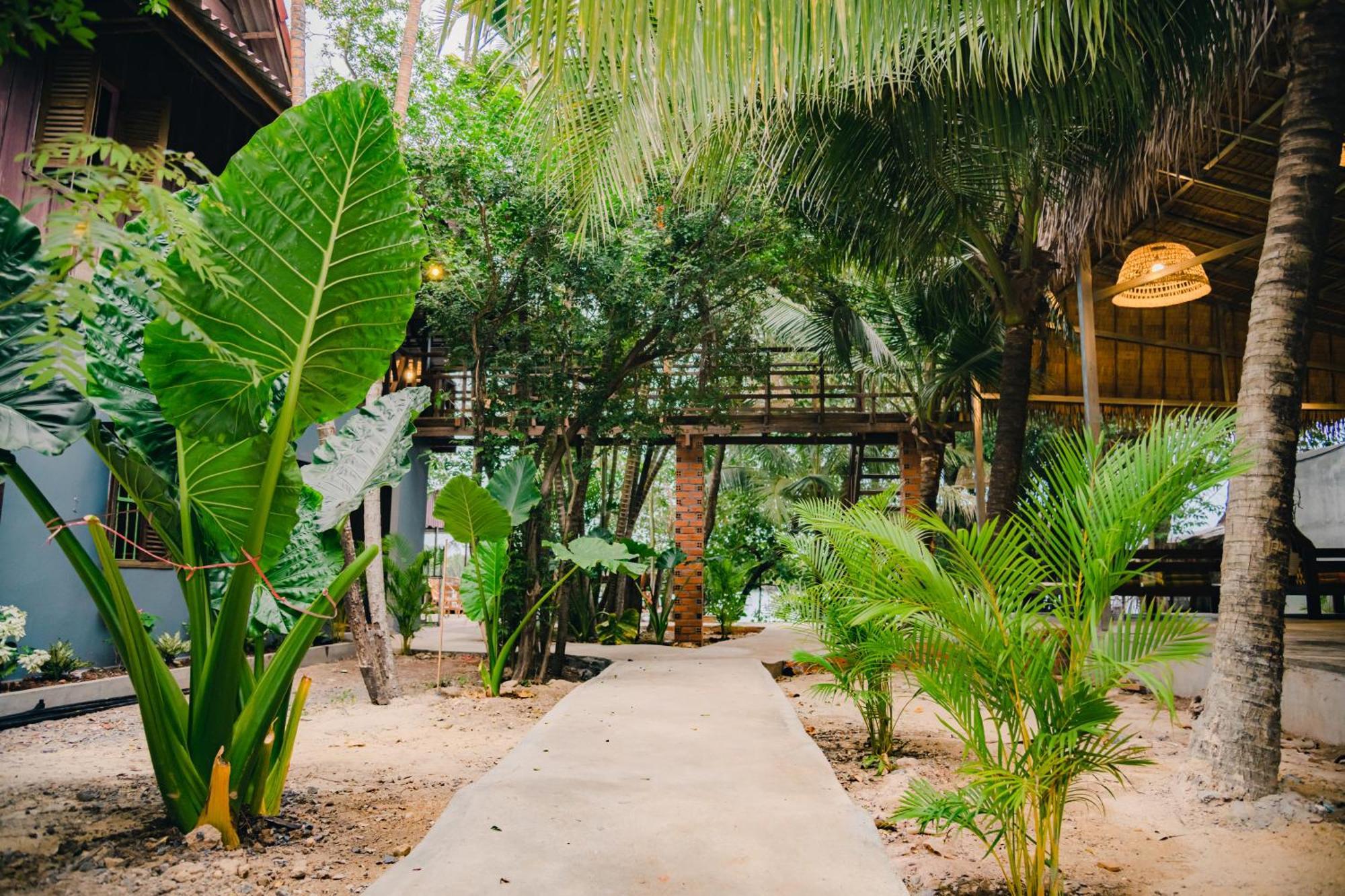 Banyan Tree Hostel Kampot Dış mekan fotoğraf