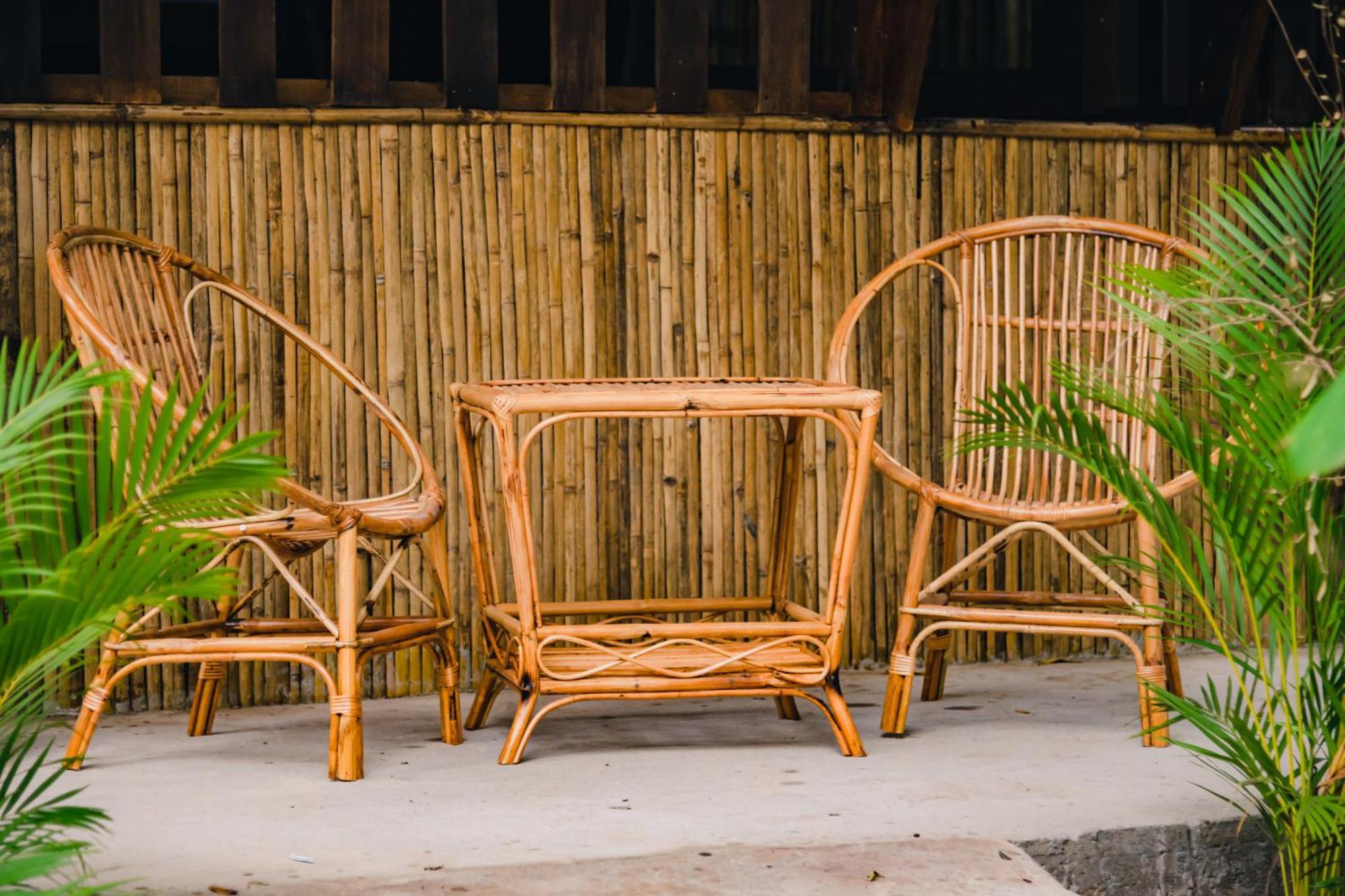 Banyan Tree Hostel Kampot Dış mekan fotoğraf
