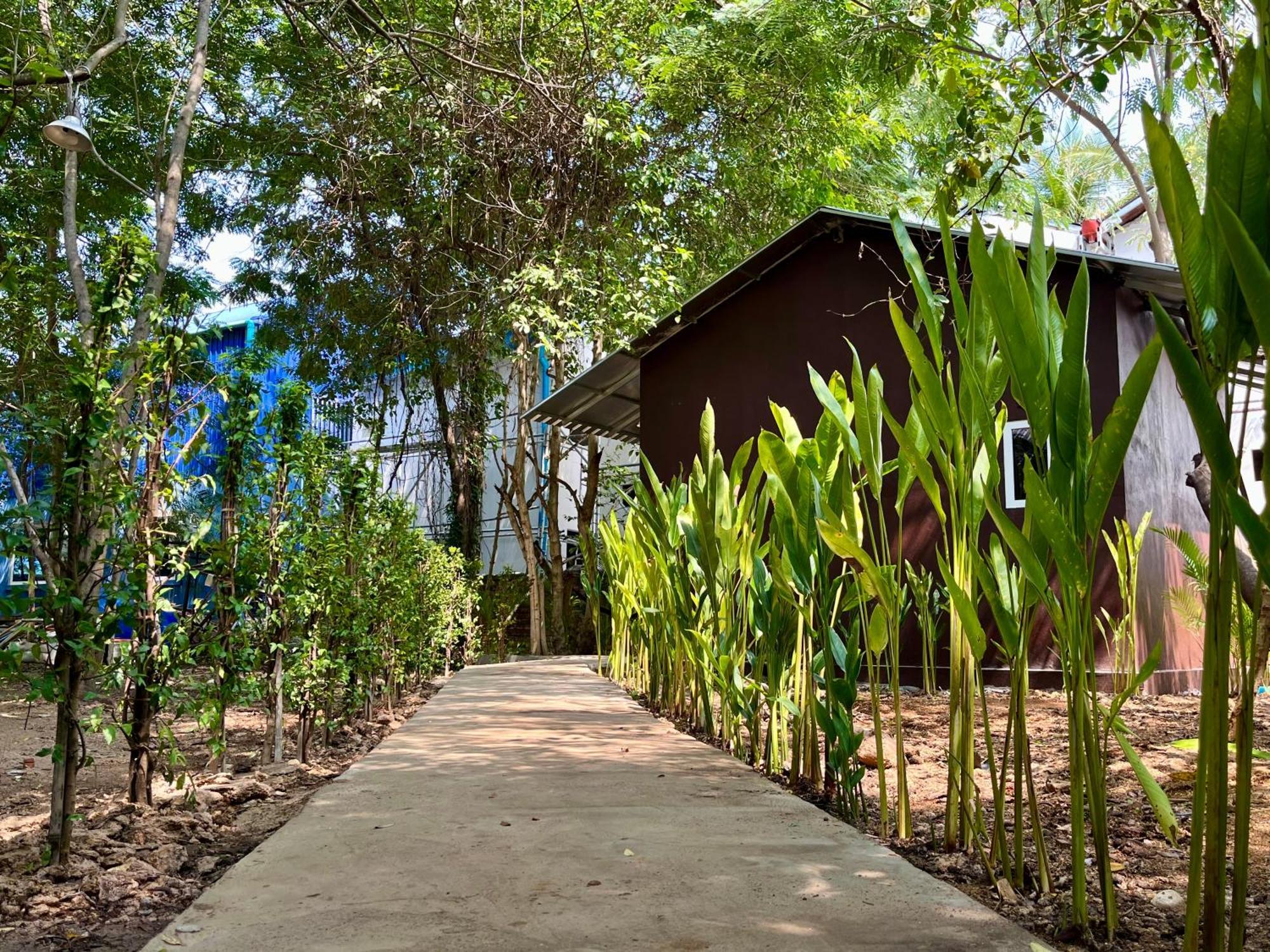 Banyan Tree Hostel Kampot Dış mekan fotoğraf