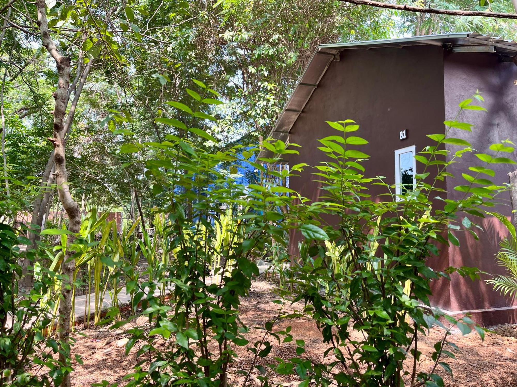 Banyan Tree Hostel Kampot Dış mekan fotoğraf