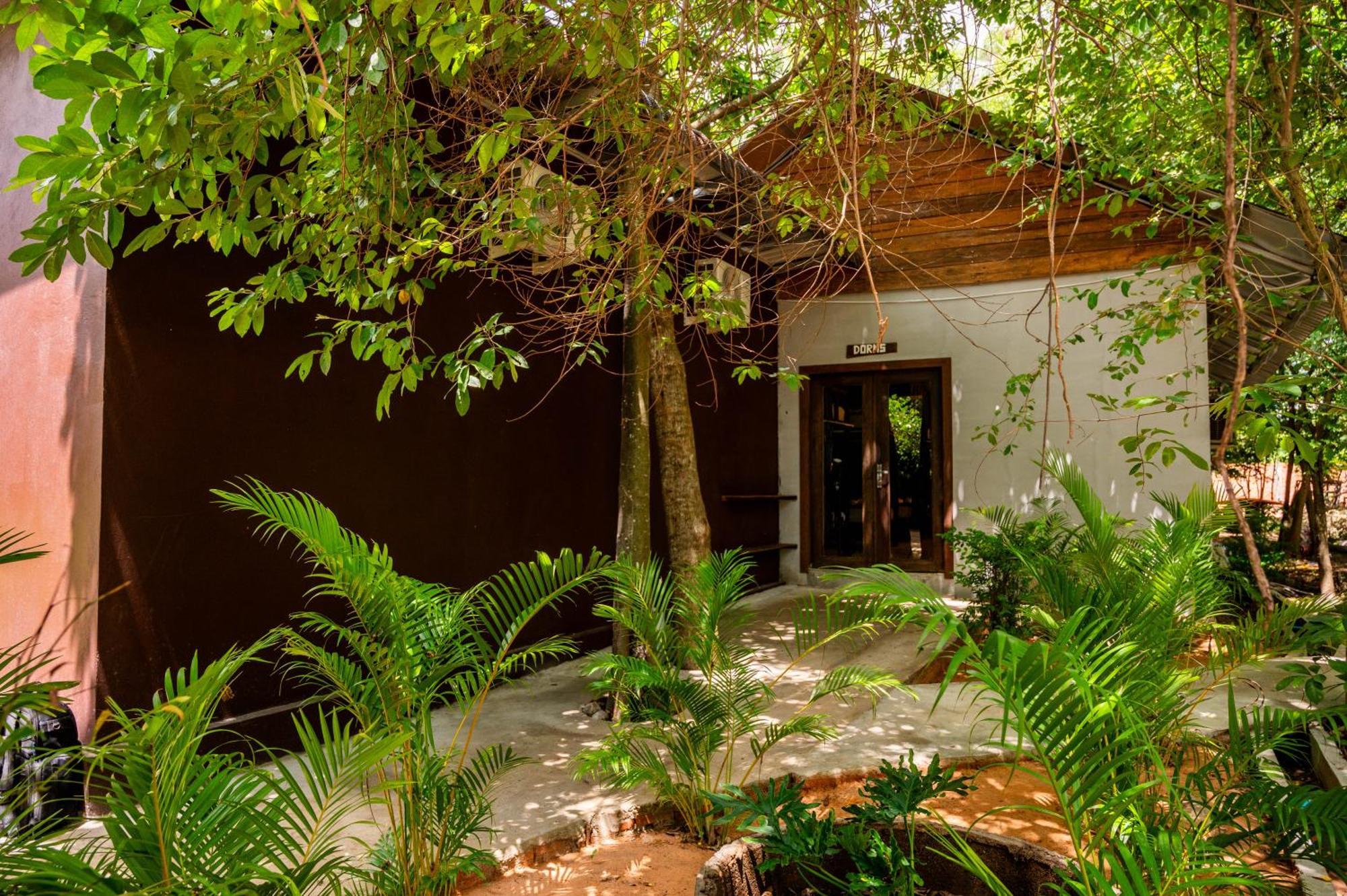 Banyan Tree Hostel Kampot Dış mekan fotoğraf