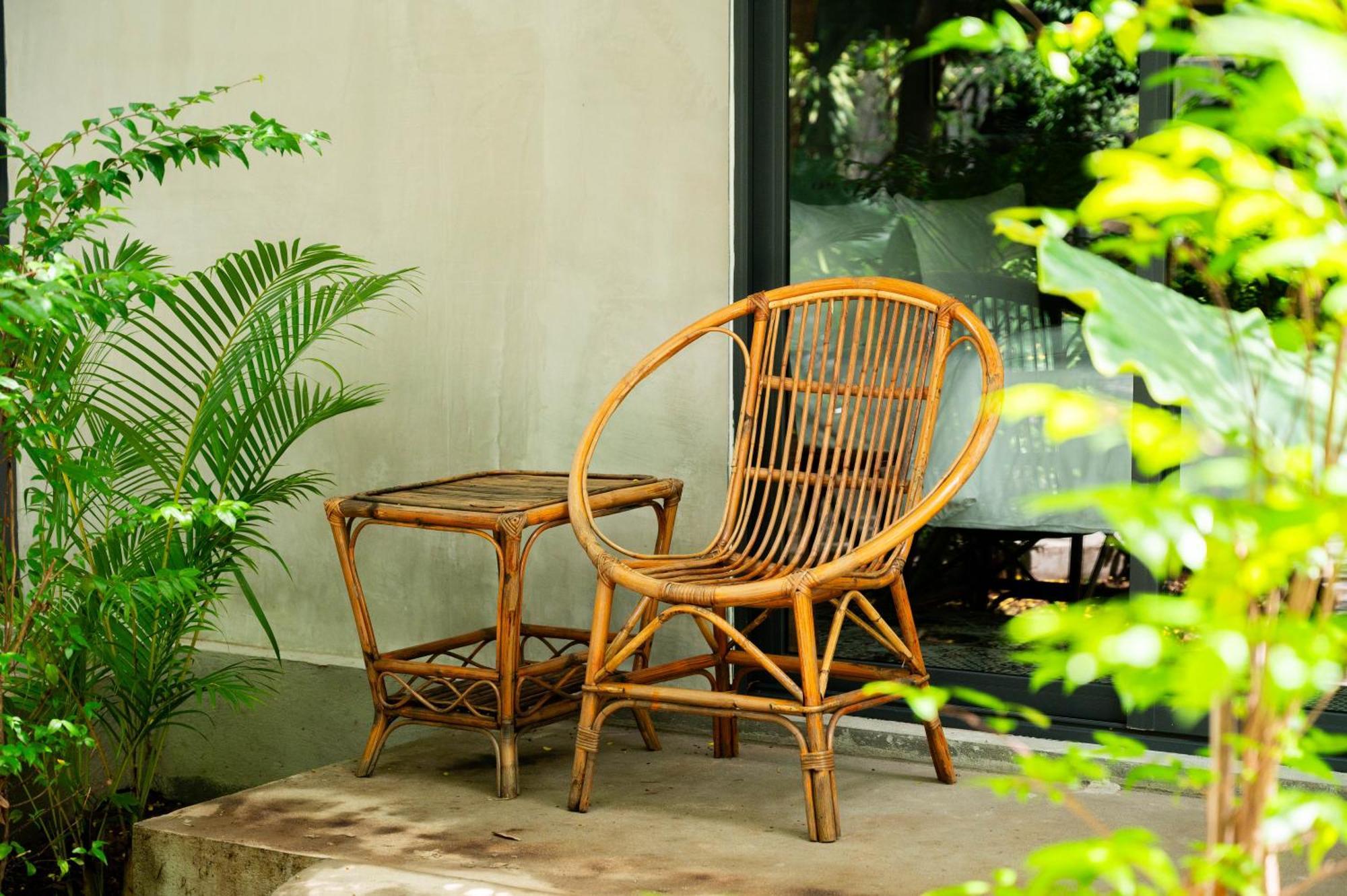 Banyan Tree Hostel Kampot Dış mekan fotoğraf